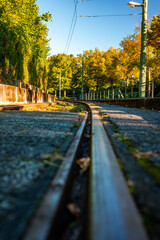 Obraz premium A railway track disappearing into the distance, framed by lush greenery and a clear sky, evoking a sense of journey and tranquility.