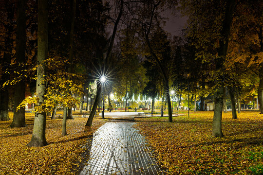 Empty park alley at night with fallen golden leaf and glowing street light. Autumn landscape with warm illumination for seasonal background. - Powered by Adobe