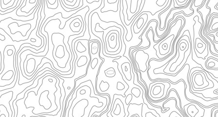 Topography background. Vector banner.  Vector geographic contour map. Background of the topographic map. Topographic map lines, contour background. 