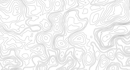 Abstract pattern with lines White wave paper curved reliefs abstract background, Abstract topographic contours map background. 