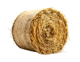 Round bundle of dried grasses, agricultural product