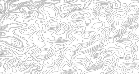 Fototapeta premium Abstract pattern with lines White wave paper curved reliefs abstract background, Abstract topographic contours map background. 