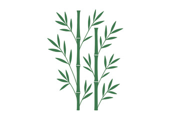 Stylized green bamboo stalks with lush leaves isolated on a white background
