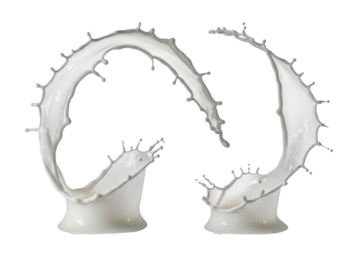 Four dynamic white milk splashes captured in ultra-sharp macro close-up, bursting upwards with intricate droplets against a transparent studio background, ample copy space, pure refreshment concept