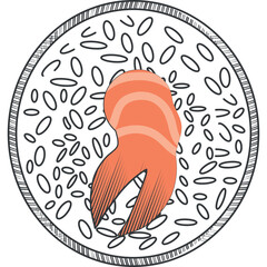 Stylized illustration of a single crab claw with orange and pink stripes resting on a bed of rice grains inside a circular bowl with a textured rim on a transparent background