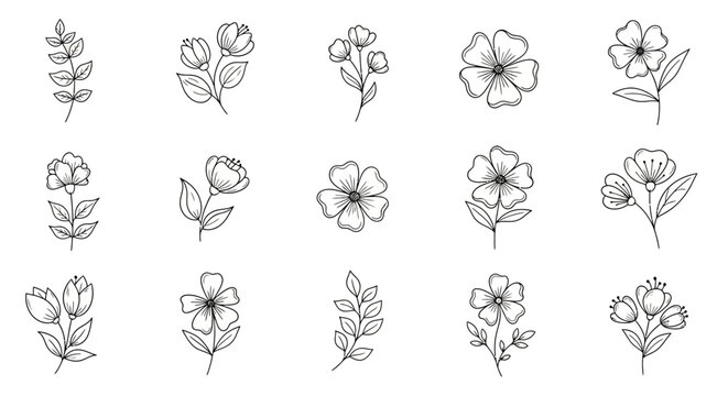 Elegant botanical drawings showcasing diverse floral designs in minimalist style for creative
