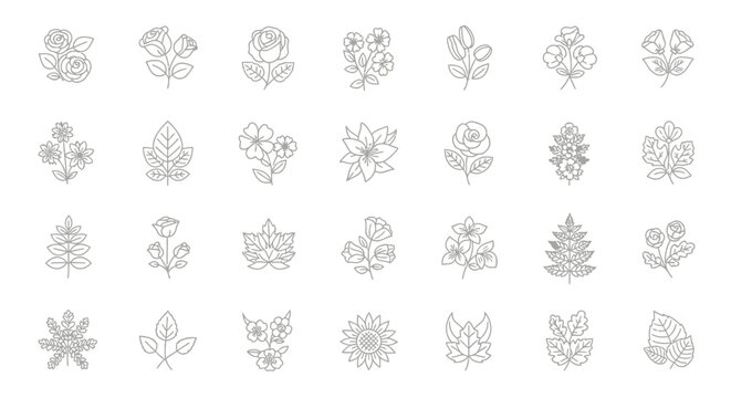 Elegant floral outlines collection showcases delicate botanical illustrations ideal for design