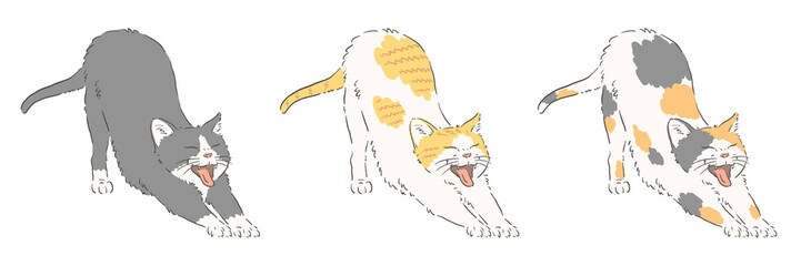 のびをする猫のイラストのセット（ハチワレ・茶白・三毛）