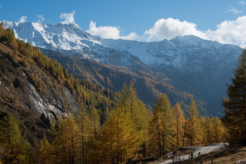 Obraz premium Mountain Hiking Trail in the Autumn Alps