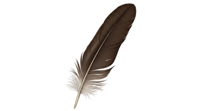 Isolated detailed brown feather art illustration, avian plumage, nature, soft quill design