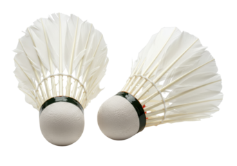Isolated badminton shuttlecocks, leisure sport with feathers, competitive play and recreation