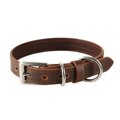 Brown Leather Dog Collar with Silver Buckle and D- Ring on White Background pet collar canine collar isolated on a transparent background