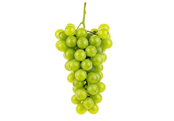 Isolated bunch of green grapes, light-colored juicy fruits with stem, source of vitamins