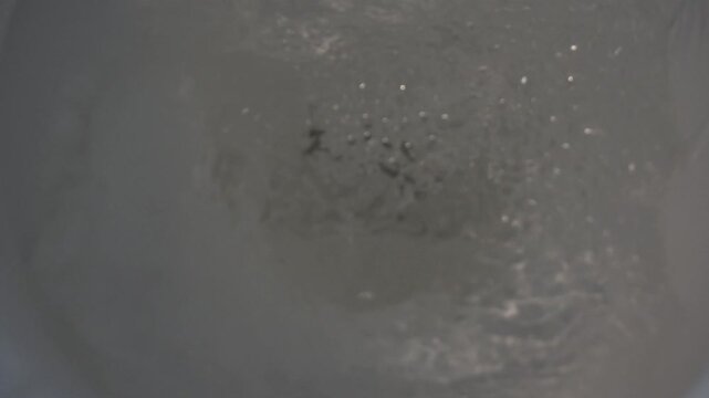 Climbing fish in mangrove forests in Thailand