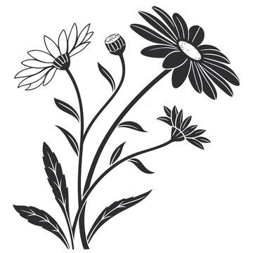 Daisy Flower Line Art with Buds and Leaves