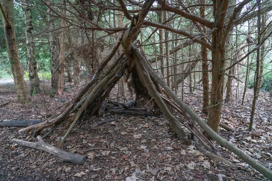 Stick den made of branches in isolated forest.