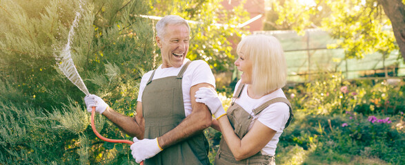 A cheerful couple shares a light moment while watering plants in their garden. Bright sunlight...