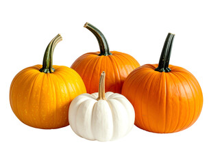 Fototapeta premium Assorted orange and white gourds