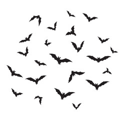 Fototapeta premium A swarm of black bat silhouettes flying in various directions against a white background bats