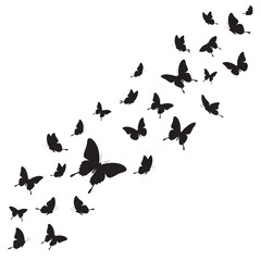 Obraz premium Black butterfly silhouettes flying in a swarm across a white background vector