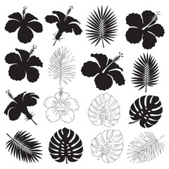 Black and white silhouette and line art tropical hibiscus flowers and palm leaves palm leaf monstera leaf