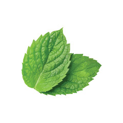 Close-up of Fresh Green Mint Leaves A Refreshing Herb for Culinary Use