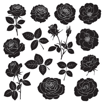 Collection of black silhouette rose flowers and leaves with white outlines on white background