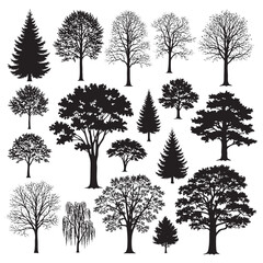 Obraz premium Collection of black silhouette trees including pine oak maple and weeping willow tree silhouette