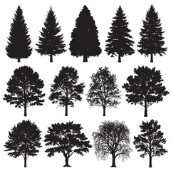 Obraz premium Collection of black tree silhouettes including pine oak maple and willow varieties pine tree