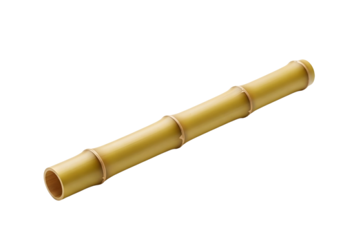 Single segment of bamboo stalk isolated on transparent background