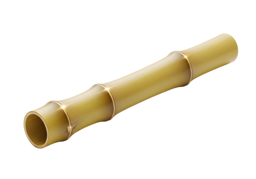 Single segment of bamboo stalk isolated on transparent background