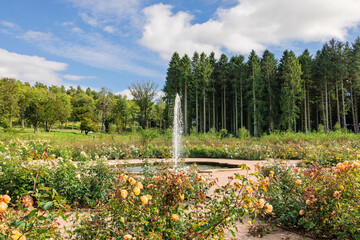 Rose garden and a fountain in a large park.