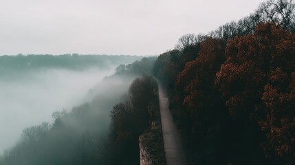 Misty autumn landscape view over serene road nature photography early morning atmospheric fog aerial perspective