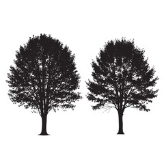 Obraz premium Two black silhouette deciduous trees with dense foliage on a white background vector