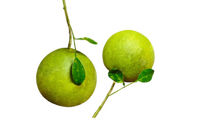 Pomelo fruit with stem and leaves separated on white background. 
