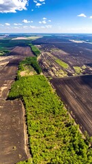 Aerial View: Newly Reforested Area Contrasting with Deforested Land, Highlighting Restoration