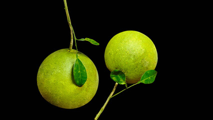 Pomelo fruit with stem and leaves separated  on black  background.
