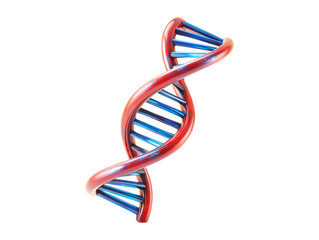 DNA double helix 3d illustration isolated on transparent or white background, png