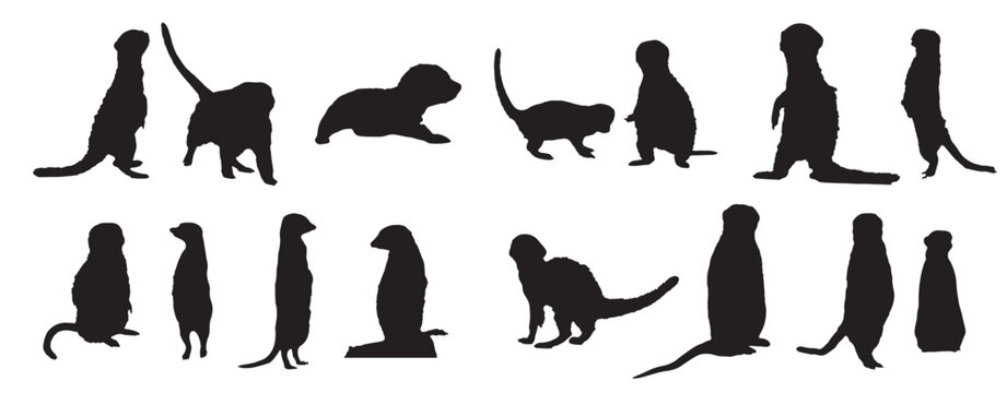 macow vector silhouette vector set 