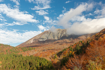 秋と大山