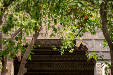 Courtyard of the Bahia Palace in Marrakech. Branches of an orange tree growing in garden or riad, Bahia Palace, Marrakech. 