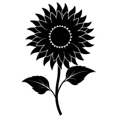 Fototapeta premium sunflower on white background
