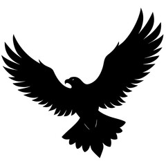 eagle in flight