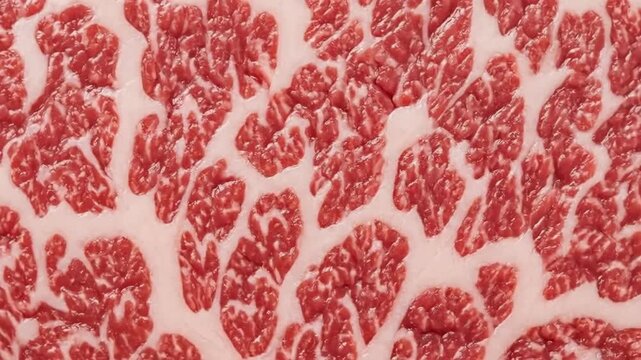 Closeup sequence of marbled beef texture showing natural patterns and intricate details