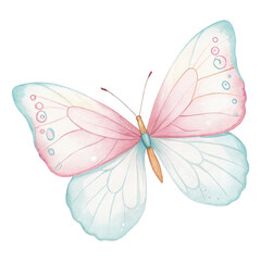 Watercolor butterfly clipart, pastel pink and blue delicate insect illustration