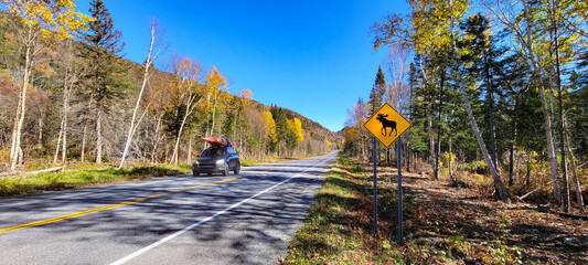 Naklejka premium Trees with autumn foliage along a road in Mont Tremblant National Park, Quebec, Canada