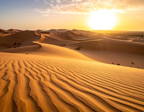 Vast desert dunes rippling across the landscape under the golden light of a setting sun. A warm, inspiring scene