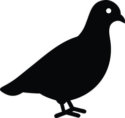 pigeon silhouette