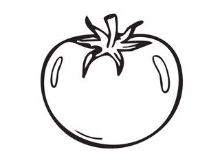 vector illustration of a Tomatto