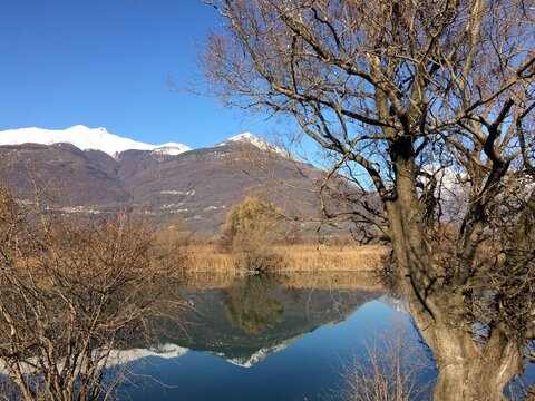 A tagna reflected in the calm waters of a lake near Colico in Lombardy, Italy.